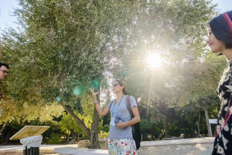 Acropolis: Premium Acropolis and Parthenon Guided Tour - Key highlights you’ll actually feel during the tour