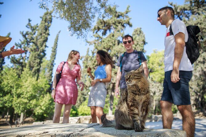 Athens Acropolis and Parthenon Walking Tour - Who this tour is best for (and who might feel annoyed)
