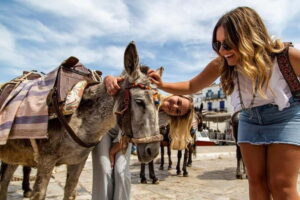 Athens: Hydra, Poros & Aegina Day Cruise with Lunch - Hydra: Cobblestones, Donkey Transport, and That Car-Free Feeling