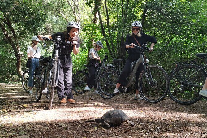 Athens Small Group E-Bike Tour - What’s included (and what’s not) so you don’t get surprised