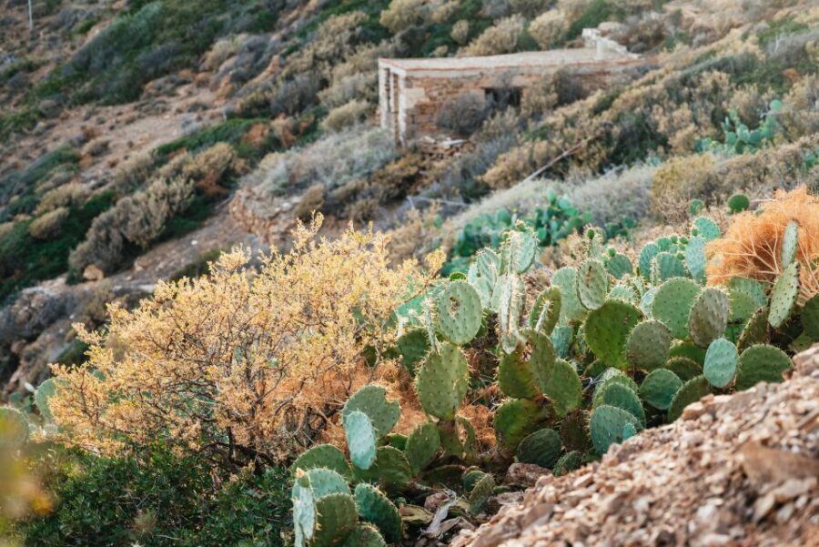 Cape Sounion & Temple of Poseidon: Small Group Tour - Cape Sounion viewpoints: turning the cliff route into a photo plan