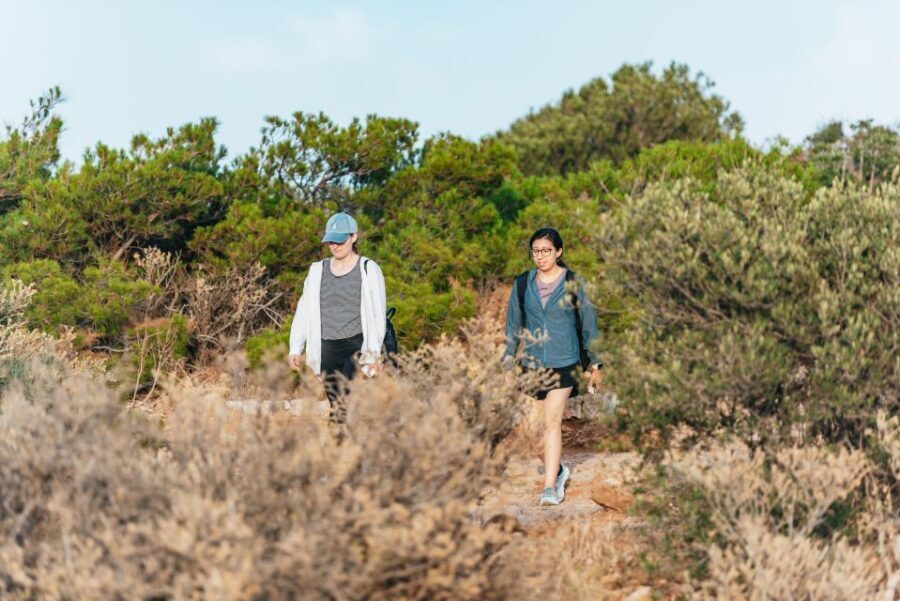Cape Sounion & Temple of Poseidon: Small Group Tour - The Temple of Poseidon: guided context, then time to wander