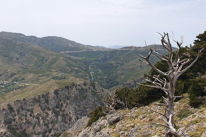 Cretan Safari – 4x4 Adventure to Preveli Beach with Lunch - Morning Pickup and the Small-Group Feel