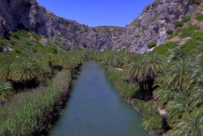 Cretan Safari – 4x4 Adventure to Preveli Beach with Lunch - Preveli Beach: Palm Trees, River Delta, and South-Coast Calm