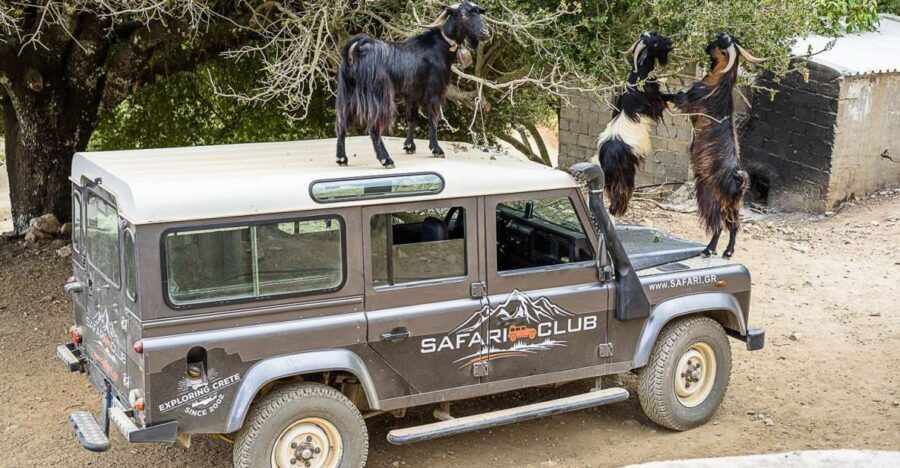 Crete: Land Rover Safari on Minoan Route - Key Points You’ll Care About