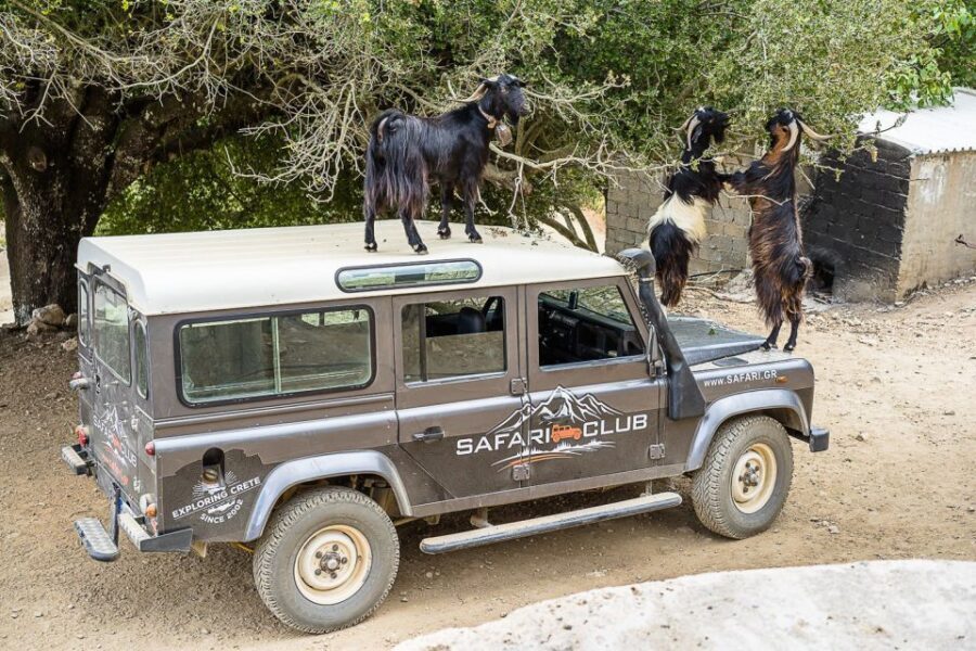 Crete: Land Rover Safari on Minoan Route - Crete by Land Rover: what the Minoan route really feels like