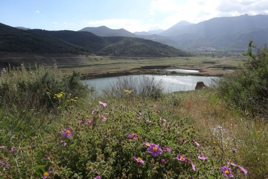 Crete: Land Rover Safari on Minoan Route - Lassithi Plateau: bird’s-eye views, farming land, and donkey work