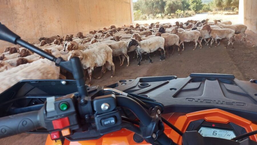 Crete: Off-Road Quad Safari with Lunch/Dinner - Milatos: Rugged Terrain, Rock-Hewn Cave Country, and a Different Crete