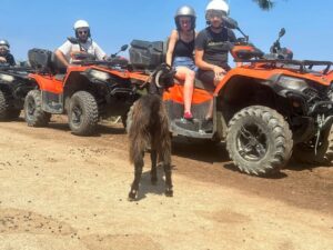 Crete: Quad Safari, Olive Mill with Tasting & Ghost Village - Olive Mill Stop: What You Learn Before the Off-Road Gets Serious
