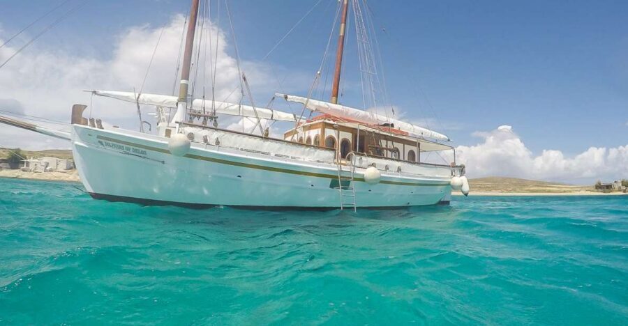 From Mykonos: Delos & Rhenia Islands Half-Day Trip by Boat - Key points worth knowing