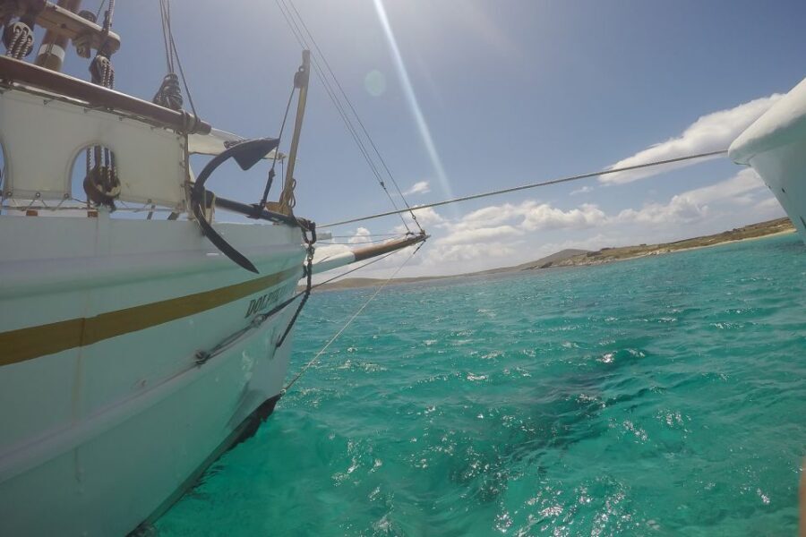 From Mykonos: Delos & Rhenia Islands Half-Day Trip by Boat - What to bring (so you don’t regret it later)
