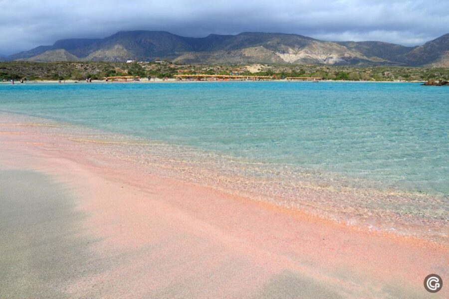 From Rethymno/Kavros: Elafonisi Island Pink Sand Beach Tour - Key highlights at a glance