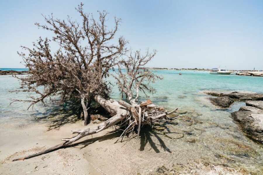 From Rethymno/Kavros: Elafonissi Pink Sand Beach Tour - Morning pickup from Rethymno and the Elos coffee or breakfast stop