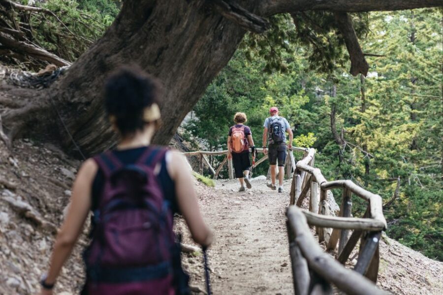 From Rethymno: Samaria Gorge Full-Day Trek, Pickup & Guide - Inside Samaria Gorge: Rocks, Shade, Water Stops, and Wildlife Clues