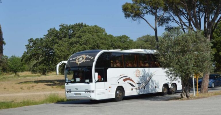 From Rhodes: Bus Tour to Lindos and the Seven Springs - Seven Springs: the cool oasis, the 186m tunnel, and the “water may vary” reality