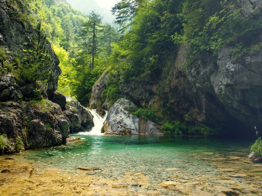 From Thessaloniki: Day Trip to Dion and Mount Olympus Park - Value Check: Is $58 Worth It?