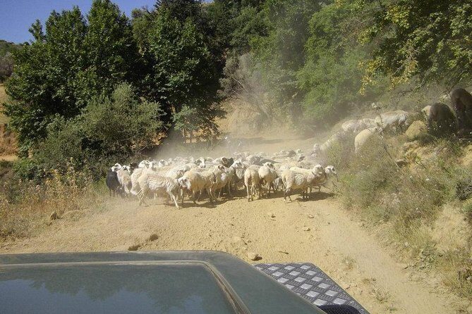 Full-Day Land Rover Safari from Heraklion with Lunch - Lunch at a Local Tavern: 3 Courses, Unlimited Wine, and Room for Real Needs