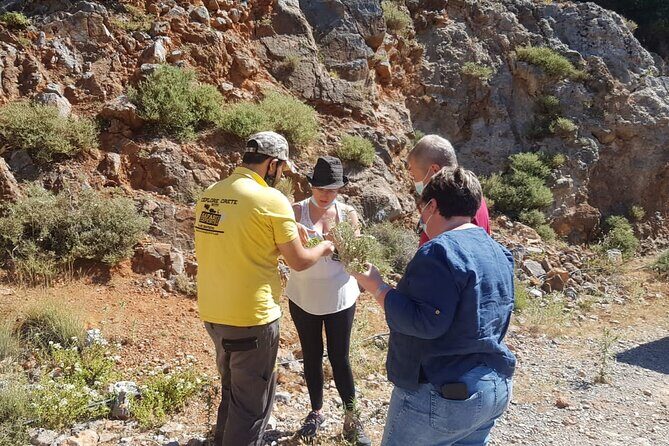 Full-Day Small-Group Tour in Crete with Zeus Cave Visit - Krasi’s 2000-year plane tree and the Sissi-to-Analipsi finale