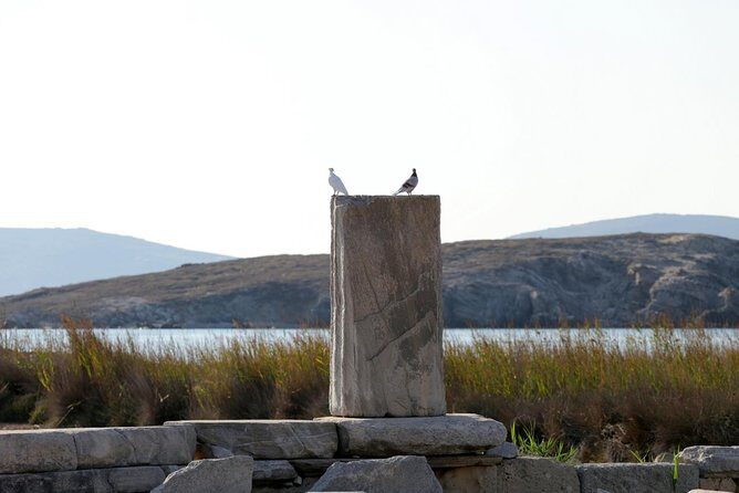 Half-Day Delos Tour from Mykonos - Temples, the Colossus of the Naxians, and the Sacred Lake with Marble Lions