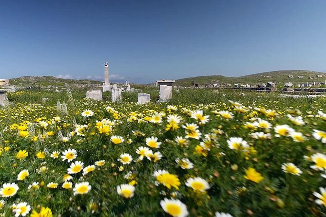 Half-Day Delos Tour from Mykonos - Museum Time on Delos: A Small Museum with Worthwhile Objects