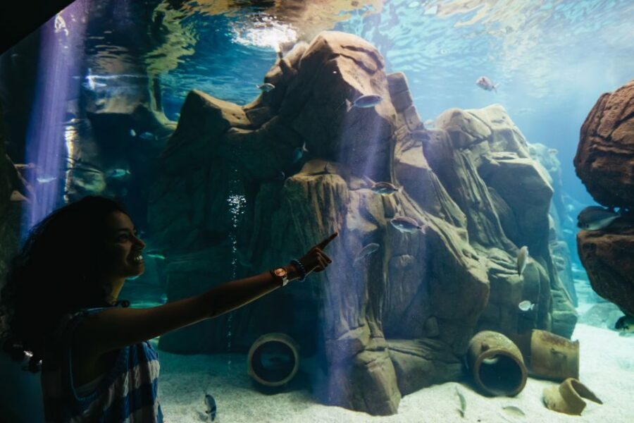 Heraklion Area: CRETAquarium Admission Ticket - How THALASSOKOSMOS Turns a Ticket Into Something Educational