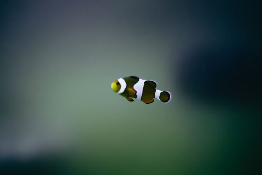 Heraklion Area: CRETAquarium Admission Ticket - Timing and Lines: When to Go to Keep It Relaxed