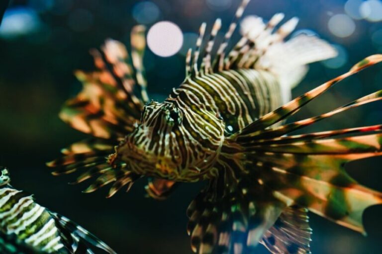 Heraklion Area: CRETAquarium Admission Ticket - CRETAquarium in Heraklion: The Setting That Keeps It Interesting