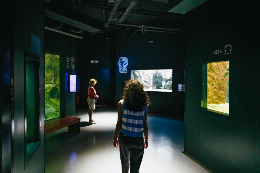 Heraklion Area: CRETAquarium Admission Ticket - Getting There, Parking, and the End-of-Visit Cafe