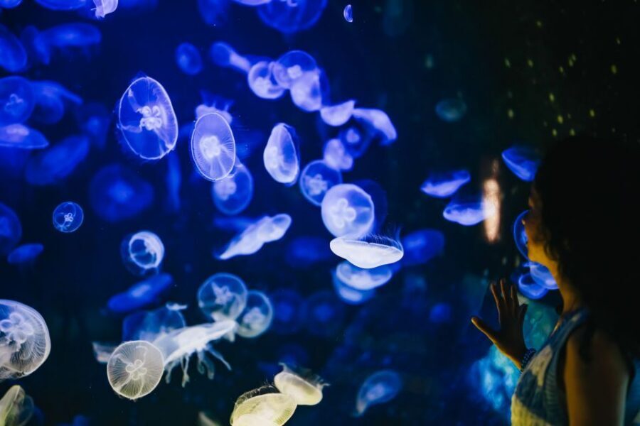 Heraklion Area: CRETAquarium Admission Ticket - Who This Is For (and Who Might Find It Just Okay)