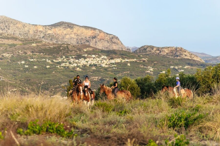 Heraklion: Finikia Horse Riding Tour with Lunch or Dinner - Key highlights at a glance