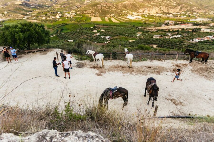 Heraklion: Finikia Horse Riding Tour with Lunch or Dinner - Practical tips that make a difference