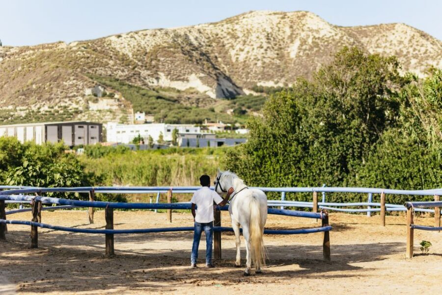 Heraklion: Finikia Horse Riding Tour with Lunch or Dinner - Zeus territory: riding toward legendary views near Archanes