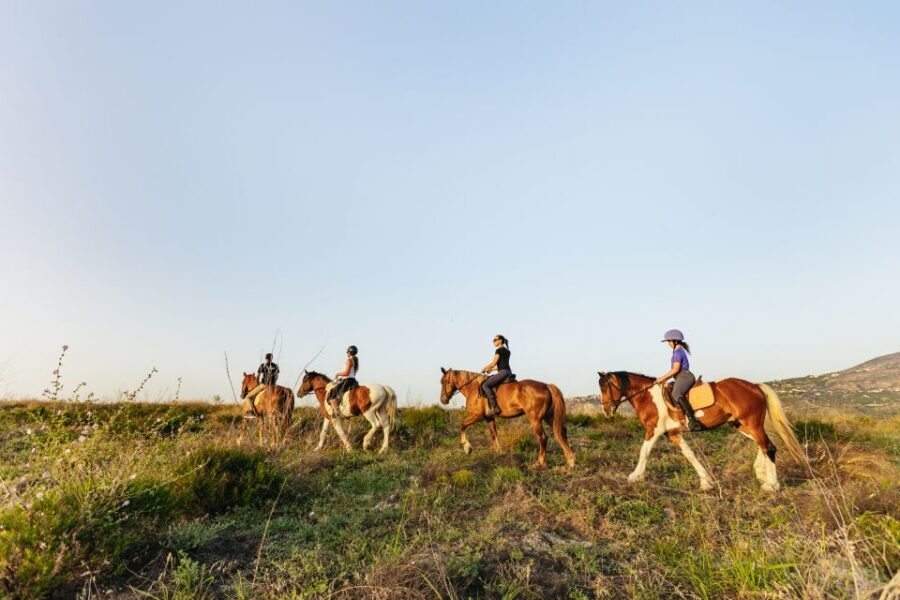 Heraklion: Finikia Horse Riding Tour with Lunch or Dinner - Morning vs evening: when the tour feels totally different