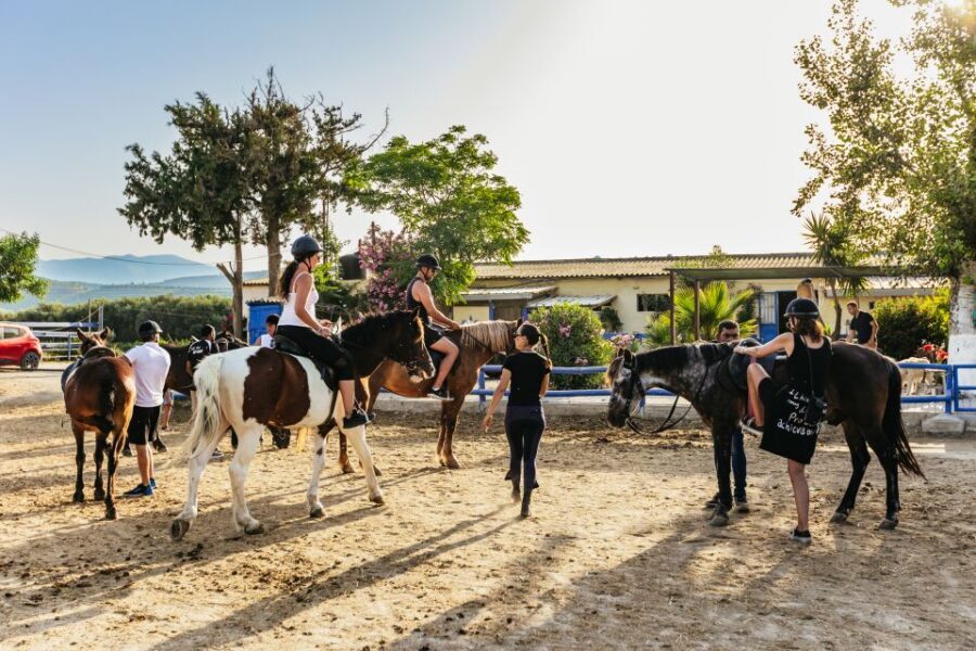 Heraklion: Finikia Horse Riding Tour with Lunch or Dinner - Price and value: why $94 feels fair here