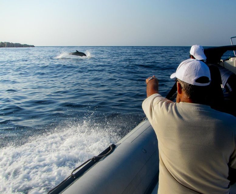 Kamiros Skala: Marine Life Experience by Boat - Key highlights to look for