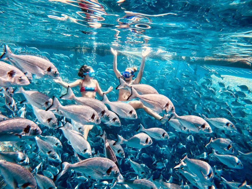 Kamiros Skala: Marine Life Experience by Boat - Entering the day from Blutopia in Kamiros Skala