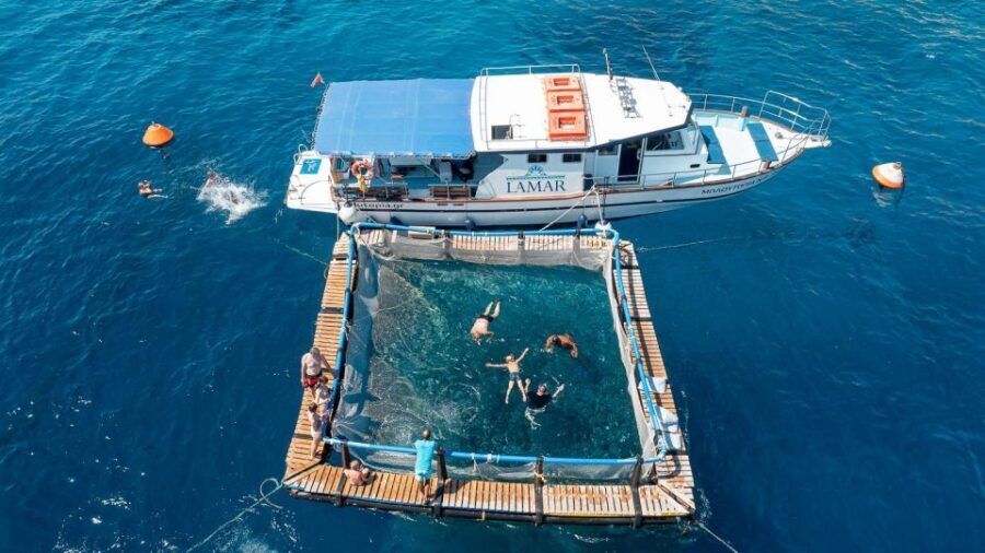 Kamiros Skala: Marine Life Experience by Boat - Stroggyli/Strongylí snorkeling: clear water, sea stars, and tuna possibilities