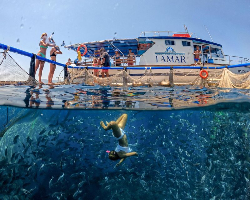 Kamiros Skala: Marine Life Experience by Boat - The science talk on aquaculture: what you learn without it feeling like a lecture