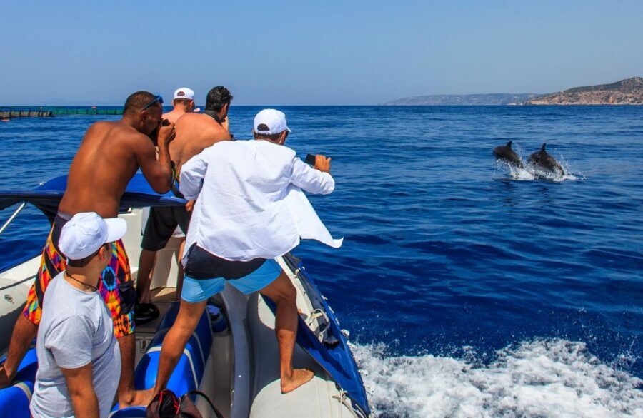 Kamiros Skala: Marine Life Experience by Boat - What’s included (and why the price can feel fair)