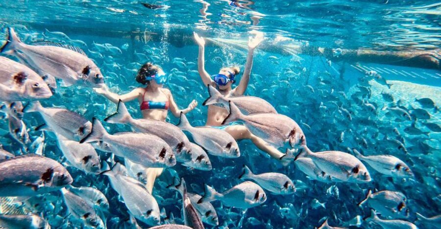 Kamiros Skala: Marine Life Experience by Boat - Logistics that matter: group size, bathrooms, and sea comfort
