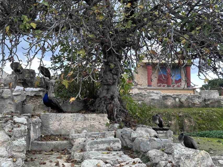 Knossos Palace Skip-the-Line Ticket & Private Guided Tour - Price and Value: Does $247 Make Sense?