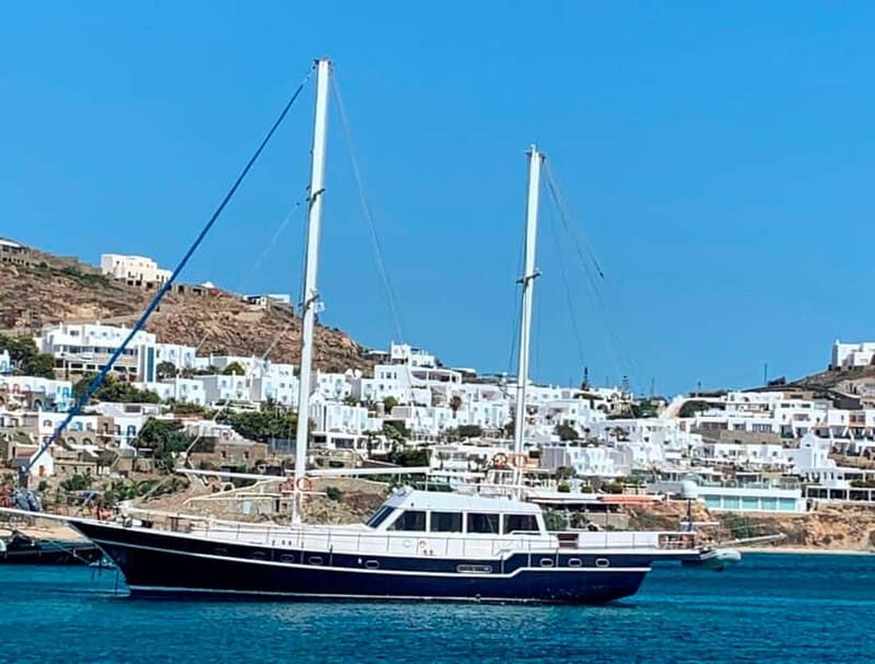 Mykonos: Delos and Rhenia Islands Cruise with BBQ Meal - A smarter Mykonos day: ruins by morning, swim by afternoon