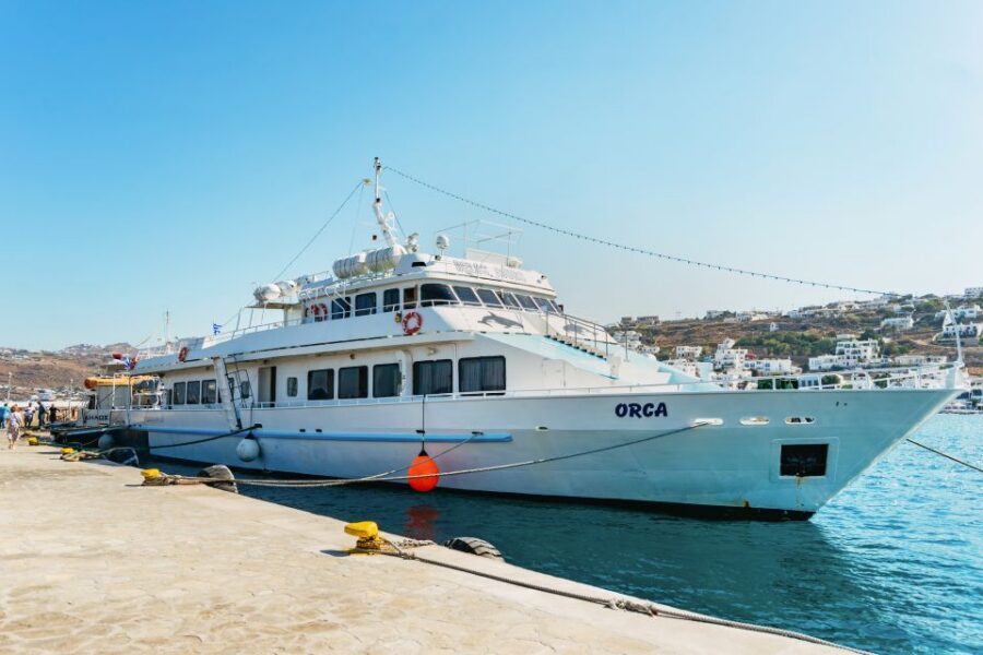 Mykonos Town: Archaeological Site of Delos Guided Day Trip - Who Should Book This Delos Day Trip