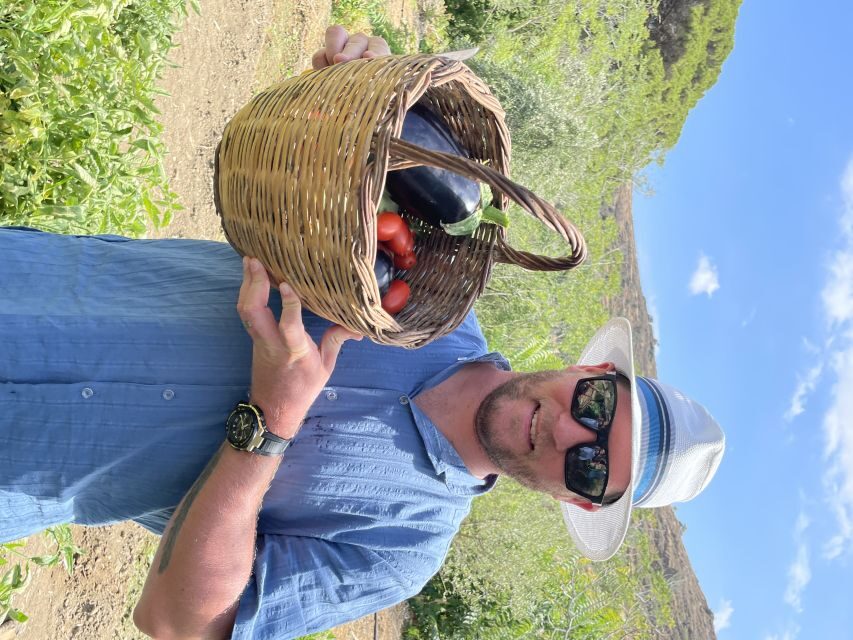 Naxos: Half-Day Cooking Class at Basiliko Family Tavern - The Feast: Wine, Starters, Family-Style Eating, and Music