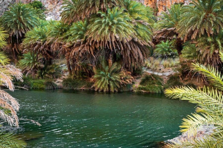 Rethymno: Preveli Beach Damnoni Beach Kourtaliotiko Day Trip - The Boat Rides: Damnoni to Preveli and Back