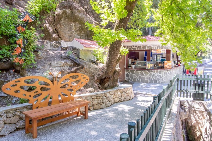 Rhodes: Butterfly Valley and Seven Springs Valley Day Trip - How the 2-hour free time works in real life