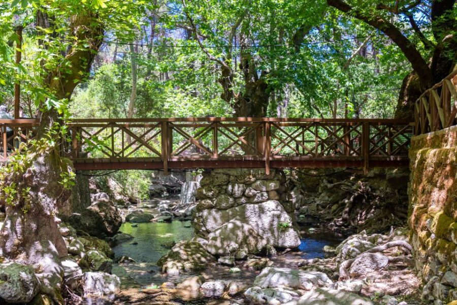 Rhodes: Butterfly Valley and Seven Springs Valley Day Trip - Cost and value: $34 plus entrances and on-site food