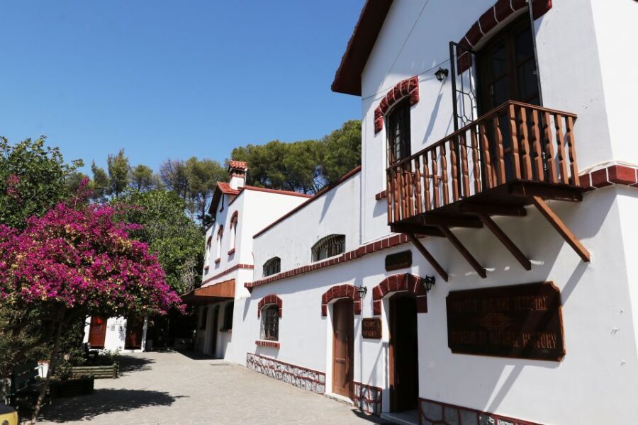 Rhodes: Butterfly Valley and Seven Springs Valley Day Trip - Tips I’d use before you go
