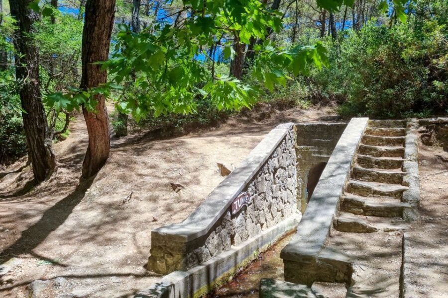 Rhodes: Butterfly Valley and Seven Springs Valley Day Trip - Should you book? My quick decision guide