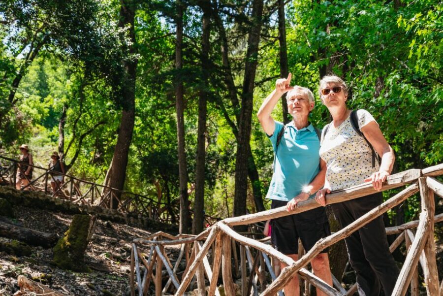 Rhodes: Filerimos Hill and Butterfly Valley Bus Trip - Price and value on this Rhodes nature-historic combo
